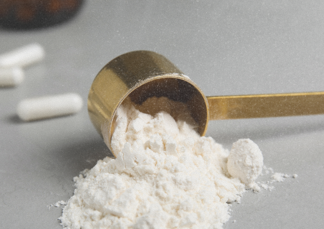 Creatina en la salud femenina: qué sabemos hoy sobre fuerza, ciclo menstrual, seguridad renal y por qué este suplemento tiene tanto sentido en mujeres