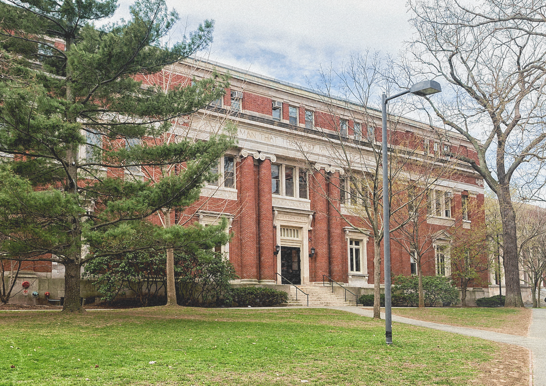 El Plato de Harvard es un gran mapa… pero la biología femenina necesita algo más que mapas